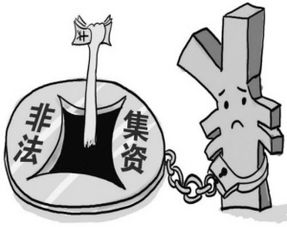 中原 广州 投资咨询 以客为本,共同创富